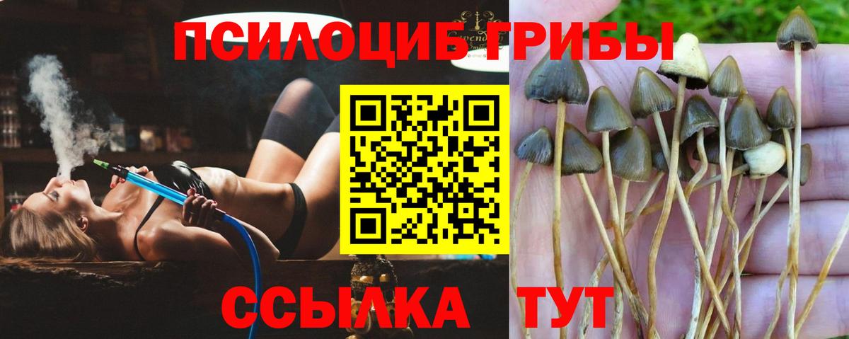 Псилоцибиновые грибы мухоморы Туймазы