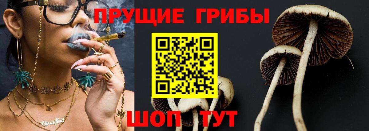 Псилоцибиновые грибы мухоморы  Вход с VPN  Туймазы  Галлюциногенные грибы мицелий 